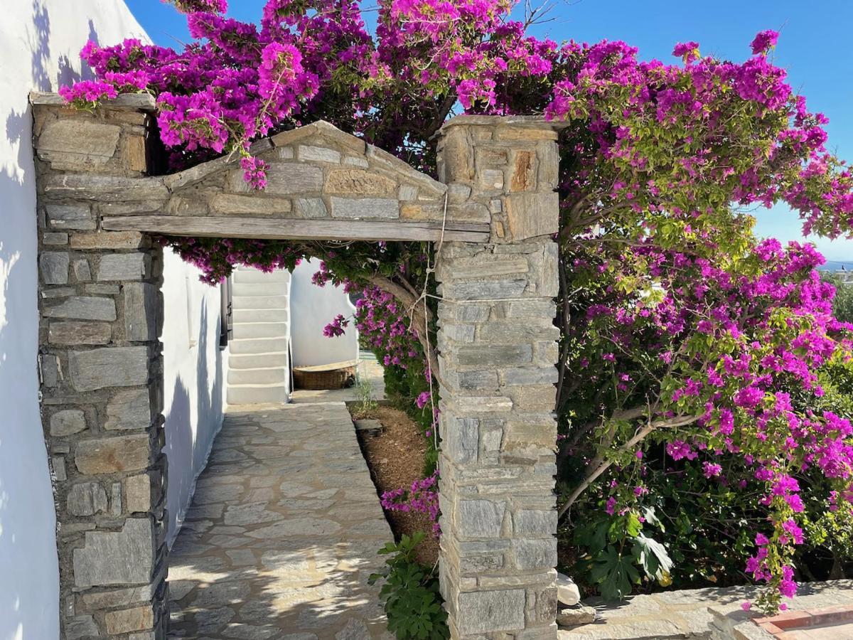 Villa Zeus - Parikia - Paros - Grece Krotiri Eksteriør bilde
